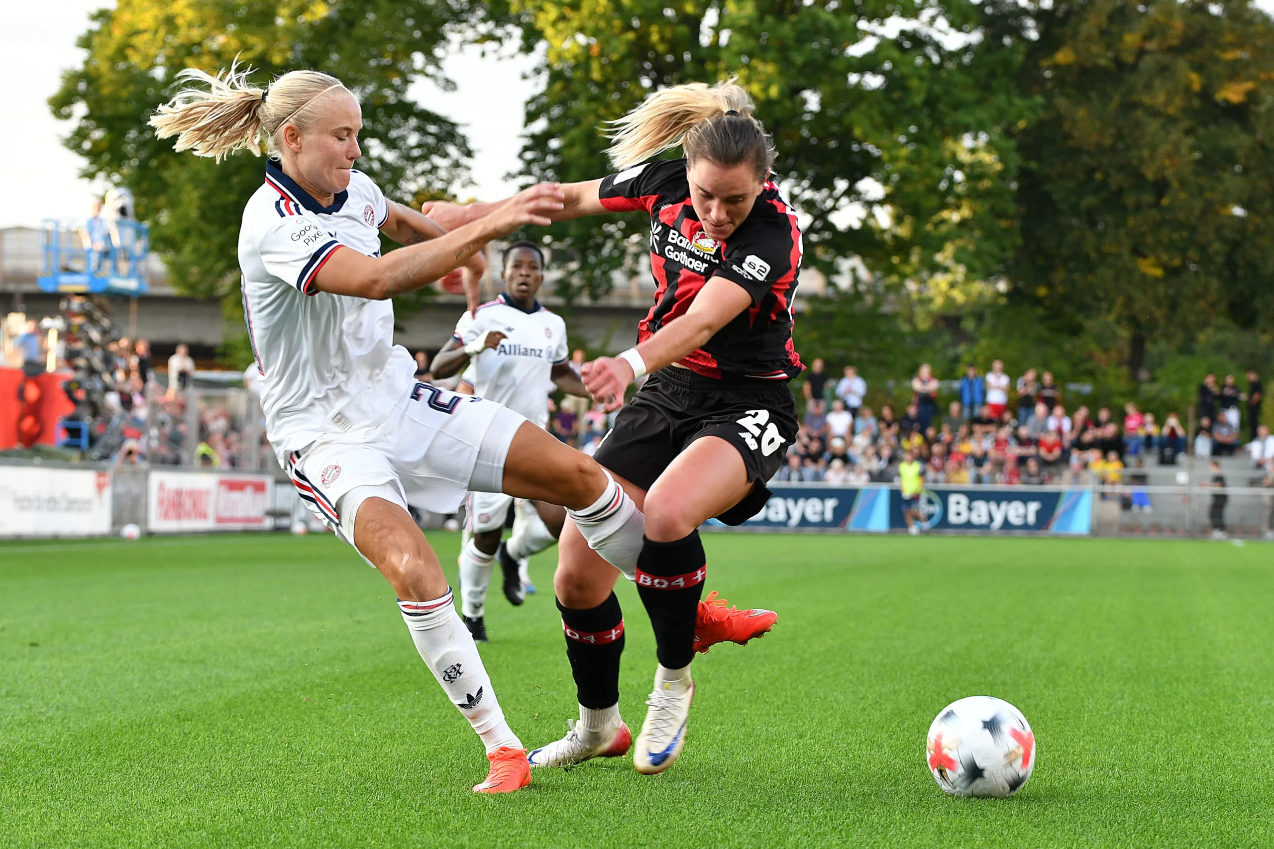 140926-Bayer04-FCBayern-21