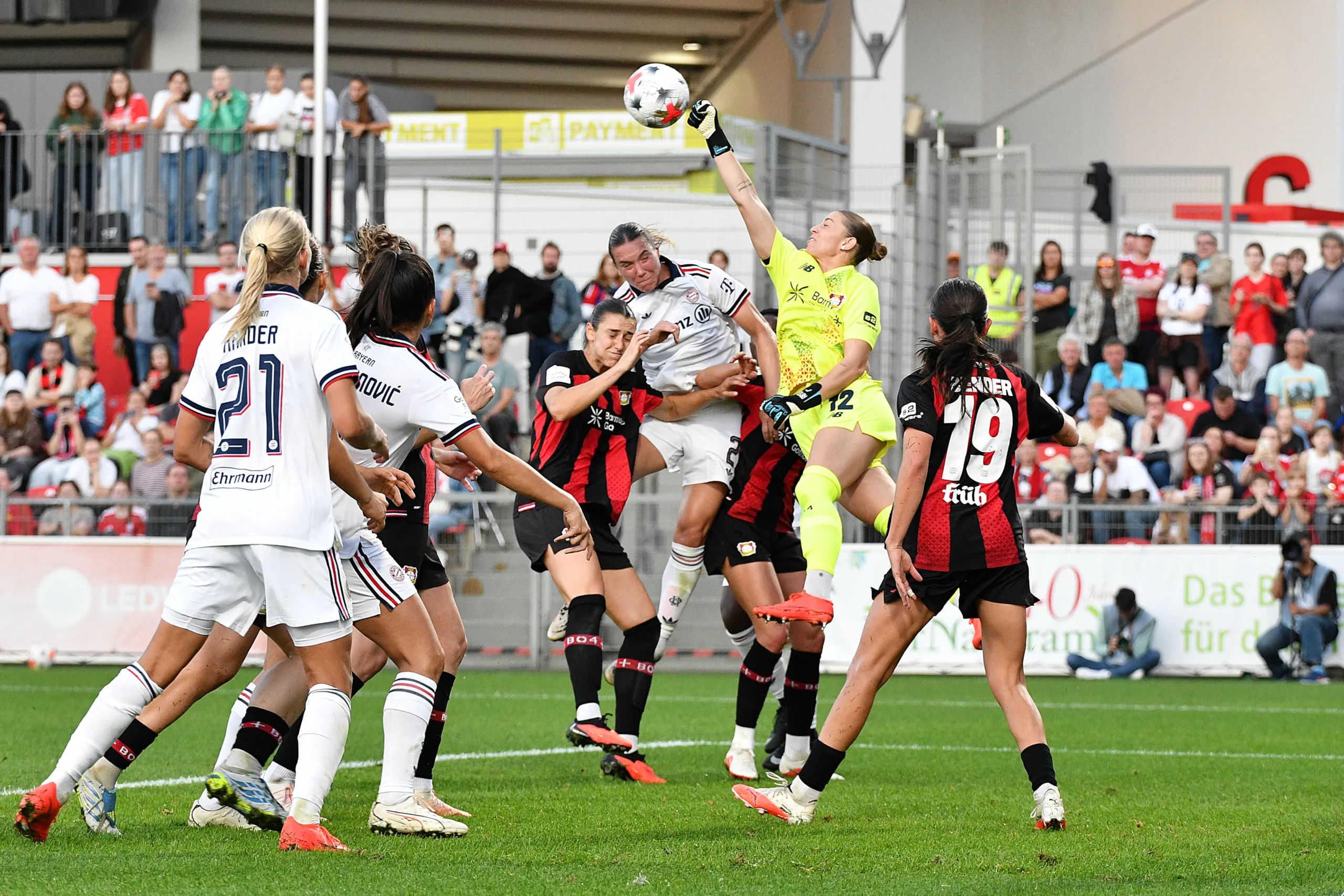 140926-Bayer04-FCBayern-28